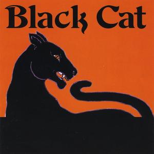 BLACK CAT - This Is Me, Acoustic Version