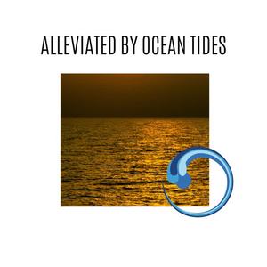 Relaxing Waves Music Library - Specified Ocean Waves