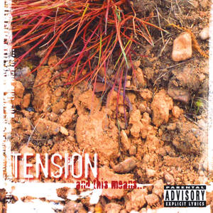 Tension《Up and Down》[MP3_LRC]