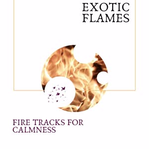 Bugsy Bubble White Noise Fire Sound - White Noise Sound Of Fire