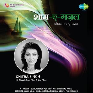 Chitra Singh - Pasine Pasine Hue Ja Rahe Ho