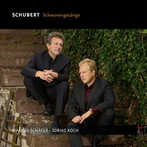 Stephan Katte&Markus Schaefer&Tobias Koch《Auf dem Strom, for Tenor, Horn and Piano, D. 943》[MP3_LRC]