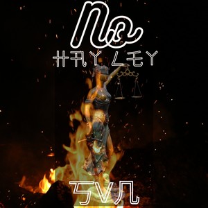 Svn - No Hay Ley