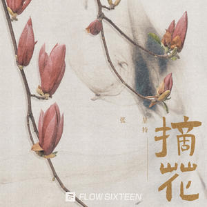 张星特 - 摘花