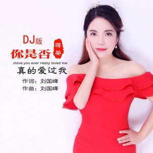 蒋婴《你是否真的爱过我(DJ阿奇版伴奏)》[MP3_LRC]