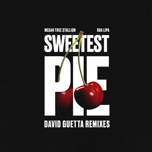 Megan Thee Stallion&Dua Lipa&David Guetta《Sweetest Pie(David Guetta Festival Remix Extended|Explicit)》[MP3_LRC]