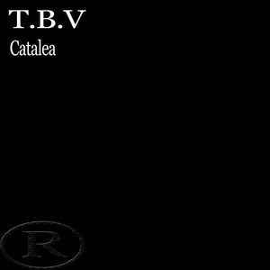 T.B.V《Catalea(Original Mix)》[MP3_LRC]