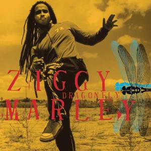 Ziggy Marley《Looking》[MP3_LRC]