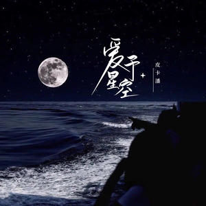 潘成（皮卡潘）《爱予星空(DJ版)》[MP3_LRC]