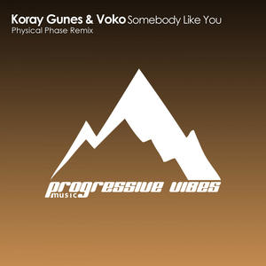 Koray Gunes&Voko《Somebody Like You(Physical Phase Remix)》[MP3_LRC]