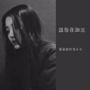 首席执行官小七 - 嫁衣