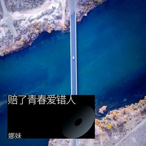 娜妹《赔了青春爱错人(伴奏)》[MP3_LRC]