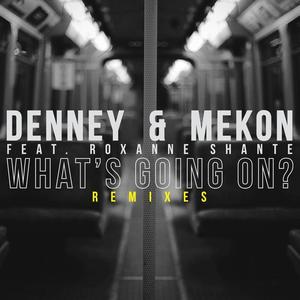 Denney&Mekon&Roxanne Shante《What’s Going On?(Secondcity Remix)》[MP3_LRC]