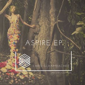 Chris Schambacher《Aspire》[MP3_LRC]