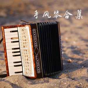 七彩文化 - 小城故事（手风琴）