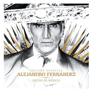 Alejandro Fernández《Te Olvidé》[MP3_LRC]