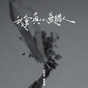 白芊芊&蒋崇伟 - 我拿真心爱错人
