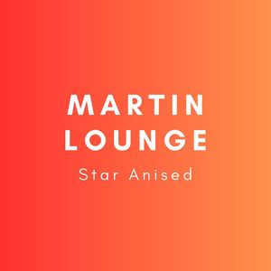 Martin Lounge《Importasnt》[MP3_LRC]