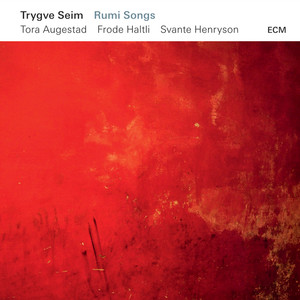 Trygve Seim&Tora Augestad&Frode Haltli&Svante Henryson《When I See Your Face》[MP3_LRC]