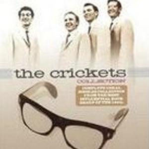 The Crickets《Baby My Heart》[MP3_LRC]