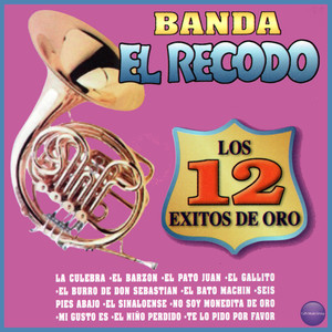 Banda Sinaloense El Recodo De Cruz Lizarraga&Miguel Muñoz《El Barzón》[MP3_LRC]