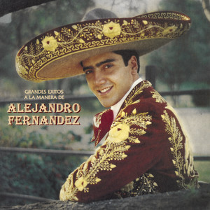 Alejandro Fernández《Rival》[MP3_LRC]