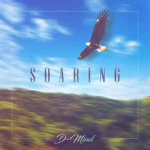 D-Mind《Soaring》[MP3_LRC]