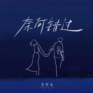 王天戈《奈何错过(和声伴奏)》[MP3_LRC]