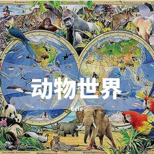 ECLE - 红蜻蜓 (cover: 小虎队)