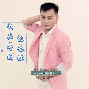 刘恺名《我在等的就是你》[MP3_LRC]