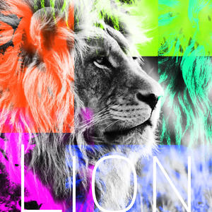 Nick Smith《Lion》[MP3_LRC]