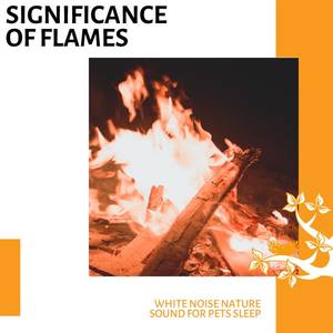Blaze Focus 3D Fire Music - Bonfire With Sleepy Sounds