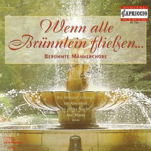 leipzig radio chorus&Jörg-Peter Weigle《Im Abendrot, D. 799 (arr. for male choir)》[MP3_LRC]