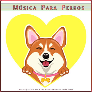 Música Para Perros&Música Pura Para Perros&Ansiedad De Los Perros - Música de guitarra relajante para perros