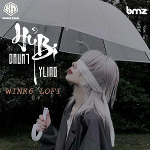 YLing&Drum7&BMZ - Hỷ Bi (WinK6 Lofi)
