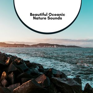 Gabriel Gashi Nature Seasons《Statistics of Birds》[MP3_LRC]