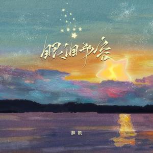 胖凯 - 眼泪形容