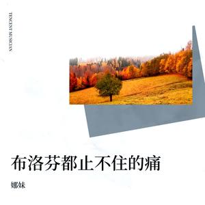 娜妹《布洛芬都止不住的痛》[MP3_LRC]