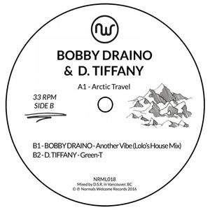 Bobby Draino&D. Tiffany - Arctic Travel