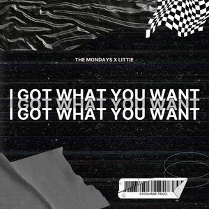 The Mondays&Littie&Leslie Powell&Kali J《I Got What You Want (feat. Leslie Powell & Kali J)》[MP3_LRC]