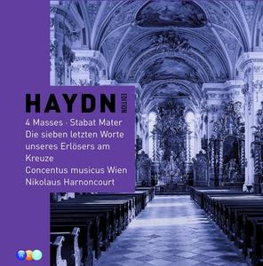 Nikolaus Harnoncourt&Herbert Lippert《Haydn: Stabat Mater, Hob. XXa:1: VI. Vidit suum dulcem natum》[MP3_LRC]