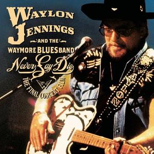Waylon Jennings&Jessi Colter - Love's The Only Chain