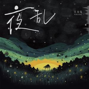 王天戈《夜乱》[MP3_LRC]