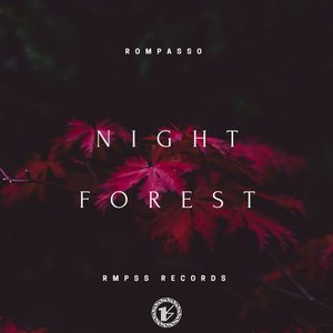 Rompasso《Night Forest(Original Mix)》[MP3_LRC]