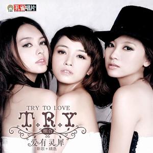 T.R.Y.《手心手背》[MP3_LRC]