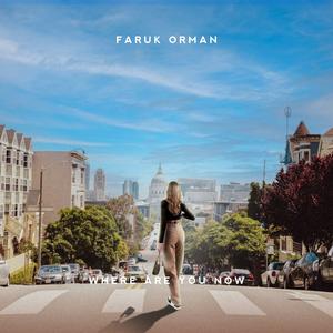 Faruk Orman《Where Are You Now》[MP3_LRC]