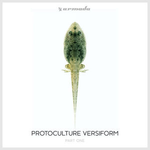 Protoculture《Saisei》[MP3_LRC]