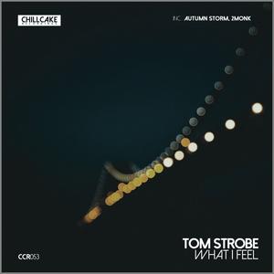 Autumn Storm&Tom Strobe《Sugarfree》[MP3_LRC]