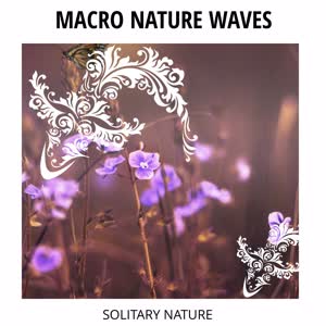 Oceans Lullaby Sounds - Sea Waves on my Feet
