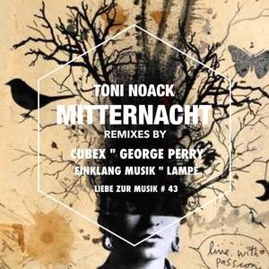 Toni Noack《Mitternacht(Einklang Musik Remix)》[MP3_LRC]